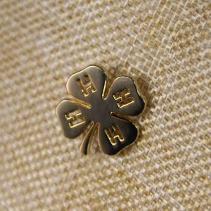 Four-leaf Clover Lapel Pins