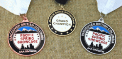 Custom Cloisonne Medals