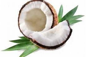 Coconut