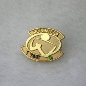 Volunteer Lapel Pin