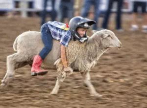 Rodeos for Kids - Family Time - Antique Belt Buckles