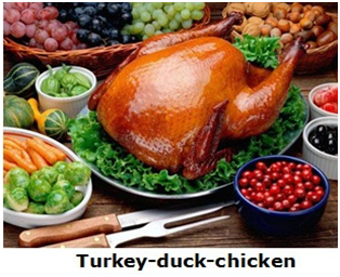 turkey duck chicken