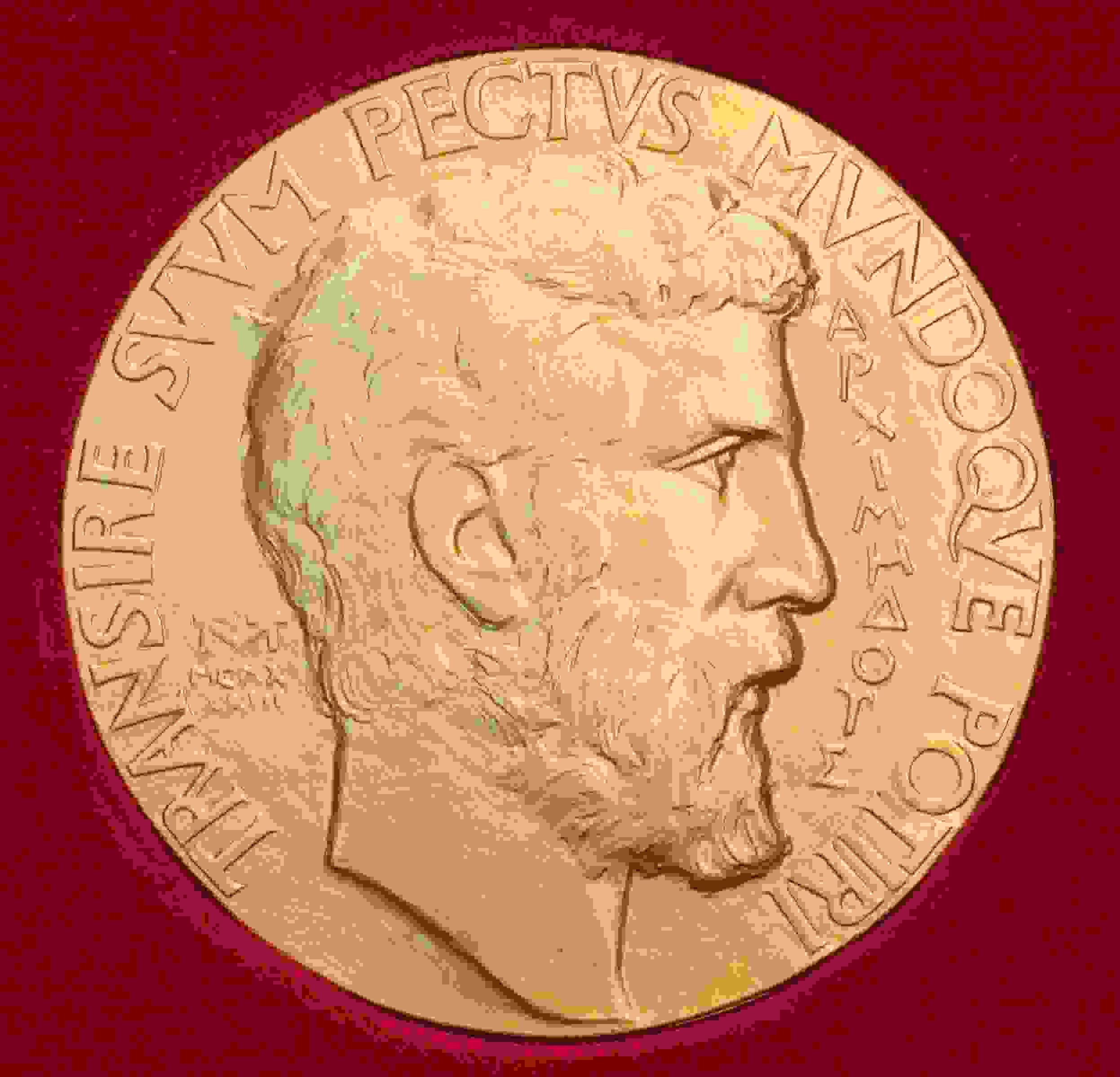 Fields Medal