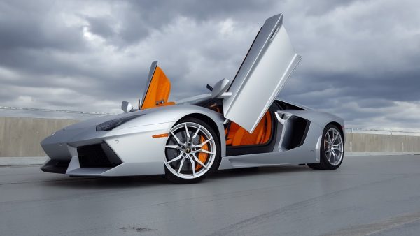 Lamborghini Aventador LP700-4 Matte Silver Car