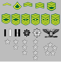 US Amy Rank Insignia