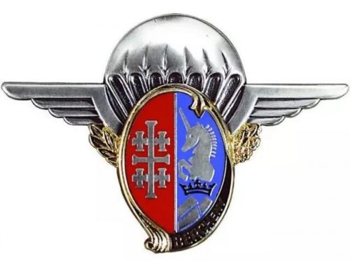 The 1st Light Cavalry Parachute Regiment Metal Pins