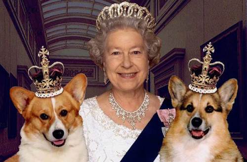 Elizabeth II & her corgis