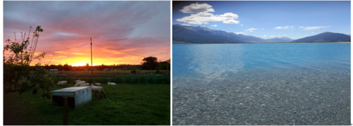 Paradise--New Zealand