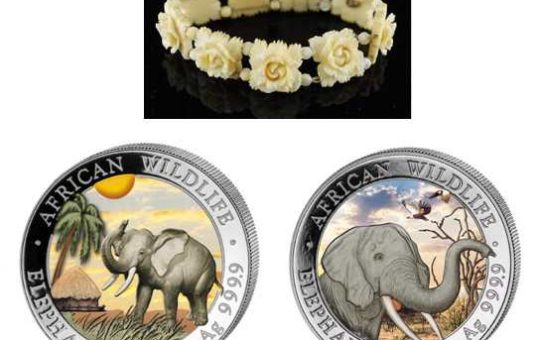 Custom Silver Elephant Coins