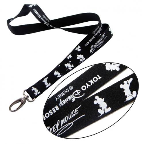 The Disney Lanyards used as Souvenir
