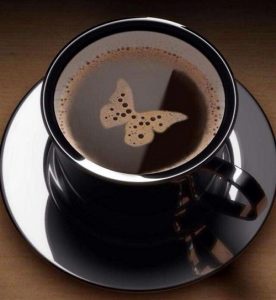Butterfly Coffee