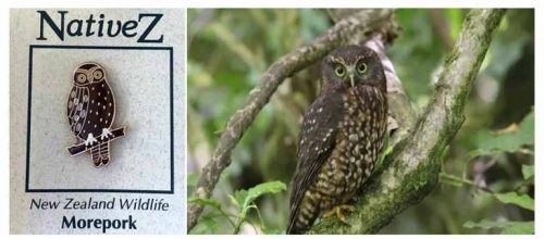 Morepork 